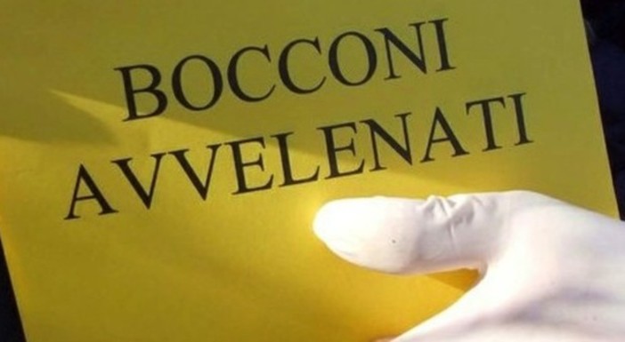 Bocconi avvelenati a Ferrania: identificato il luogo dell'avvelenamento