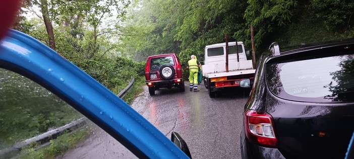 Bomba d’acqua a Stella, cade un albero sulla Sp 542 vicino al Comune, intervengono i Vigili del fuoco