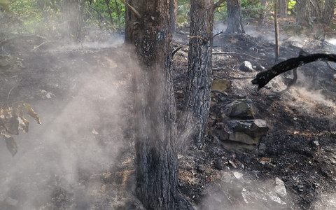 Incendio boschivo a Sassello: nuovo intervento dei vigili del fuoco in località Giardini