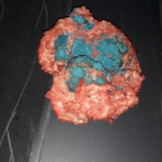 4 bocconi avvelenati a Segno, la proprietaria: "Il mio cane è salvo ma nel 2020 c'è ancora gente di questo tipo"