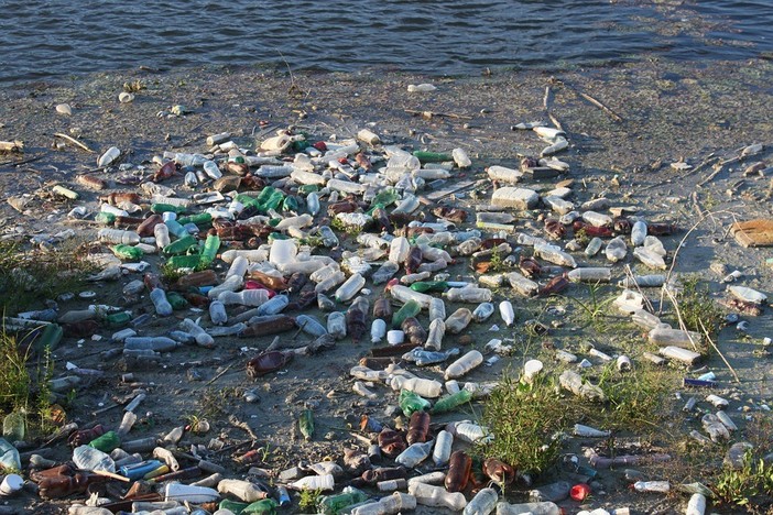 Albissola Marina, al MuDA "Balene in una mare ... di plastica"