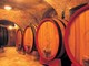 Sabato 25 ottobre Shopinn Brugnato 5Terre mette in vetrina le eccellenze vitivinicole del territorio di Savona