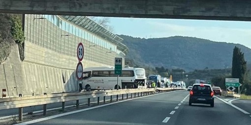 Scolaresca si schianta in autostrada, il responsabile di Diana Tours: "Bambini ritornati a Imperia, bus a Savona"