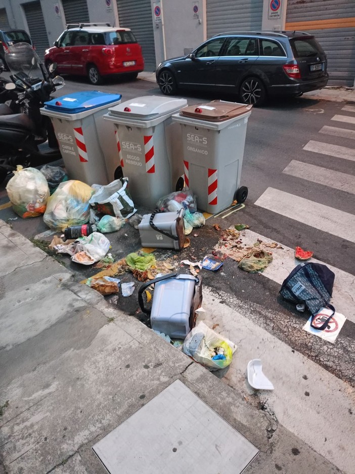 Porta a Porta a Savona, un lettore da via Mignone: "Oltre allo scempio estetico, qualcuno si farà carico della carenza igienica in cui si sta precipitando?" Porta a Porta a Savona, un lettore da via Mignone: "Oltre allo scempio estetico, qualcuno si farà carico della carenza igienica in cui si sta precipitando?"