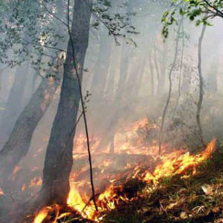 Liguria: divampati cinque incendi boschivi in regione