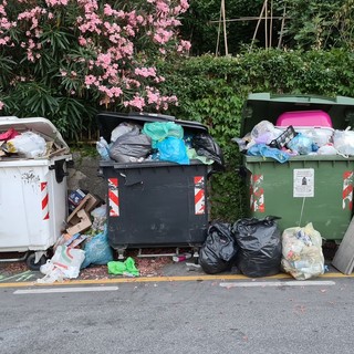 &quot;Siamo sicuri che questo sia il modo giusto di gestire la raccolta differenziata?&quot;