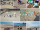 Bergeggi, i bambini della scuola Primaria ripuliscono la spiaggia Bergeggi, i bambini della scuola Primaria ripuliscono la spiaggia