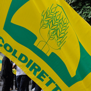 Gas, Coldiretti: "A novembre bolletta in aumento del +13,7%"