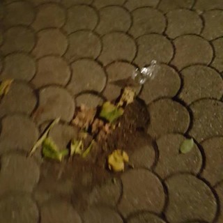 Savona, buca pericolosa nei giardini di Lavagnola (FOTO)