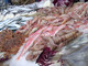 Giornata nazionale del pesce italiano, Coldiretti Liguria: &quot;Scegliere prodotti locali per essere sicuri di freschezza e di qualità&quot;
