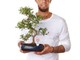 Un Bonsai per un futuro senza Aids Un Bonsai per un futuro senza Aids