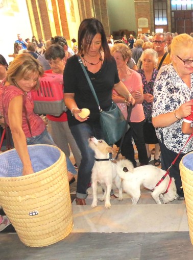 Giornata degli Animali, domani a Savona la benedizione degli animali Giornata degli Animali, domani a Savona la benedizione degli animali