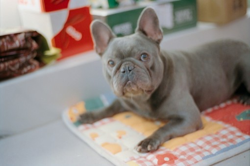 Danni a terzi: perché la responsabilità civile in casa è fondamentale