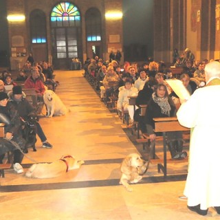 Sabato torna la giornata degli animali!