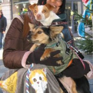 Savona: l'Enpa in strada per la "Befana degli Animali"