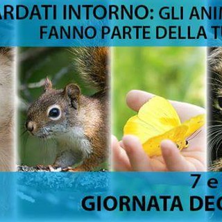Sabato benedizione degli animali a Savona