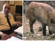 Peste suina, il senatore Bruzzone (Lega) tende la mano agli ambientalisti: "Creiamo insieme il piano abbattimenti"