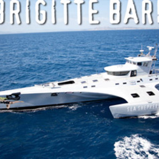 Foto tratta da www.seashepherd.it