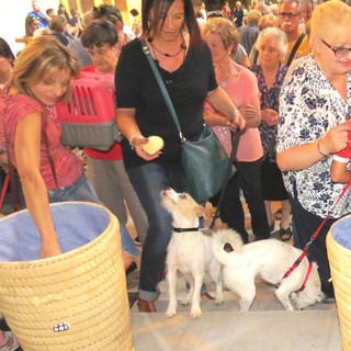 Giornata degli Animali, domani a Savona la benedizione degli animali
