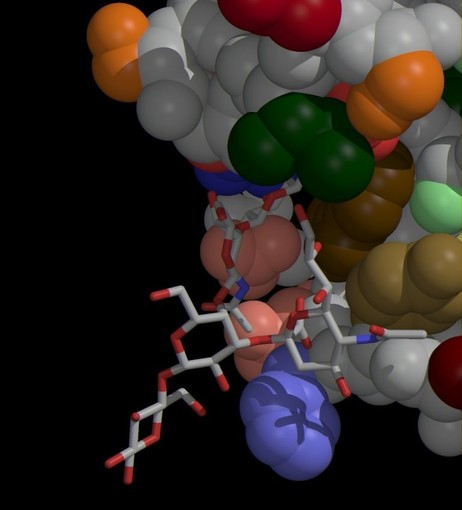 Savona, mercoledì 5 giugno conferenza su "Biotecnologie & Farmaci" Savona, mercoledì 5 giugno conferenza su "Biotecnologie & Farmaci"