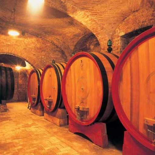 Ortovero, i Viticoltori Ingauni alla rassegna enogastronomica “Forum Vini”