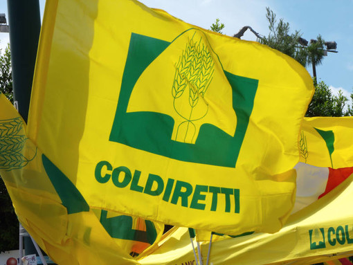 Ceriale, Coldiretti lancia l'azione sindacale verso il Comune: "Tari su fabbricati strumentali non a norma di legge" Ceriale, Coldiretti lancia l'azione sindacale verso il Comune: "Tari su fabbricati strumentali non a norma di legge"