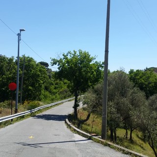 Savona, polpette avvelenate al Bosco delle Ninfe: l'allarme dei residenti