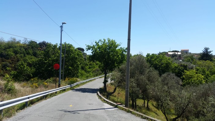Savona, polpette avvelenate al Bosco delle Ninfe: l'allarme dei residenti Savona, polpette avvelenate al Bosco delle Ninfe: l'allarme dei residenti