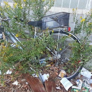 Savona: degrado alla Stazione Ferroviaria