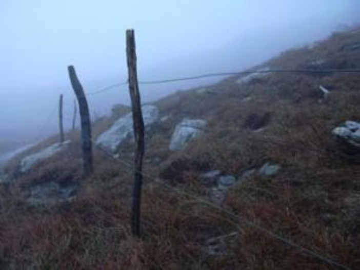 Savona: la Provincia vara un piano d&amp;#039;emergenza neve