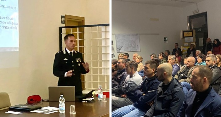 Lupo tra tutela e convivenza: necessario trovare l’equilibrio per salvaguardare natura e comunità Lupo tra tutela e convivenza: necessario trovare l’equilibrio per salvaguardare natura e comunità