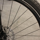 Savona, i ladri di biciclette tornano a colpire: rubati mezzi elettrici Savona, i ladri di biciclette tornano a colpire: rubati mezzi elettrici