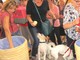 Giornata degli Animali, domani a Savona la benedizione degli animali Giornata degli Animali, domani a Savona la benedizione degli animali