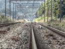 Spostamento della ferrovia, il WWF Savona denuncia il progetto alla Commissione Europea: "A rischio le aree protette" Spostamento della ferrovia, il WWF Savona denuncia il progetto alla Commissione Europea: "A rischio le aree protette"
