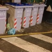 Savona, le segnalazioni di residenti in corso Colombo: sempre più ratti nella zona, le esche non bastano