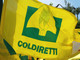 Export cibo italiano in crescita, Coldiretti: &quot;Strategici progetti sull'agroalimentare&quot;