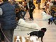 Successo per la 13° Giornata degli Animali al Sacro Cuore di Savona Successo per la 13° Giornata degli Animali al Sacro Cuore di Savona