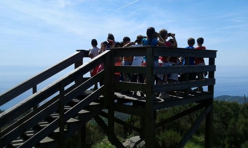 Nel Parco del Beigua pronti con i binocoli per il "Biancone Day" Nel Parco del Beigua pronti con i binocoli per il "Biancone Day"