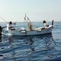 Fermo pesca, Coldiretti Liguria: "Serve subito un tavolo tecnico per il futuro del comparto" Fermo pesca, Coldiretti Liguria: "Serve subito un tavolo tecnico per il futuro del comparto"