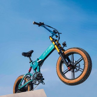 Fat Bike Elettrica Fiido: Quando il Fango e la Neve Diventano il Tuo Playground Fat Bike Elettrica Fiido: Quando il Fango e la Neve Diventano il Tuo Playground