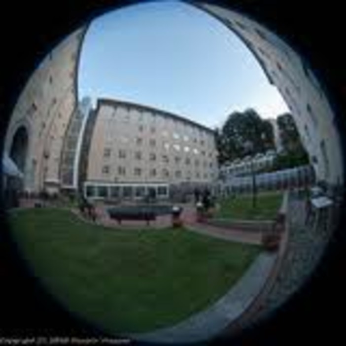 Quando gli artisti dialogano tra loro: l'Associazione Aiolfi organizza una mostra alla biblioteca Berio di Genova