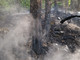 Incendio boschivo a Sassello: nuovo intervento dei vigili del fuoco in località Giardini Incendio boschivo a Sassello: nuovo intervento dei vigili del fuoco in località Giardini