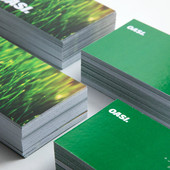 Immagine professionale: il ruolo del biglietto da visita Immagine professionale: il ruolo del biglietto da visita