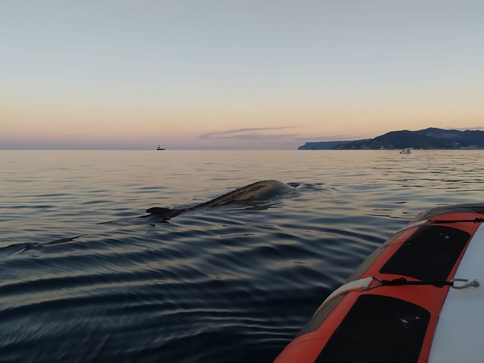 Foto pagina Facebook associazione "Menkab: il respiro del mare"
