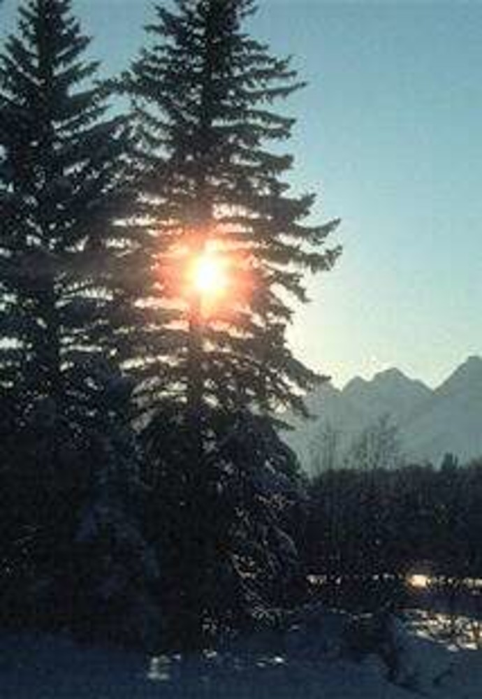 Albenga: progetto Biomass, domani un convegno Albenga: progetto Biomass, domani un convegno