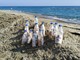 Fine stagione per le bottiglie-portacenere sulle spiagge di Albissola Marina