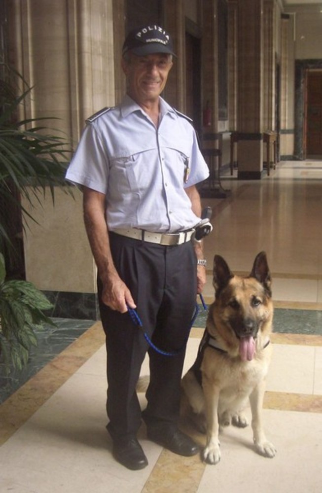 Savona, è morto Buck, il pastore tedesco mascotte dei vigili urbani