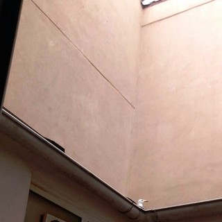 Savona: gabbiano reale vittima di un cavedio salvato dai vigili del fuoco