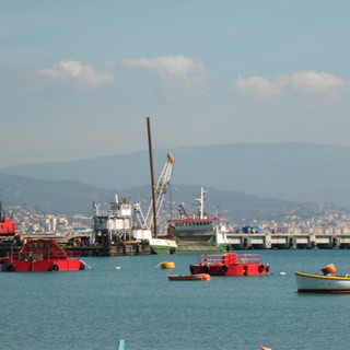 Savona, l'assessore Santi: "A breve commissione consiliare su Maersk"