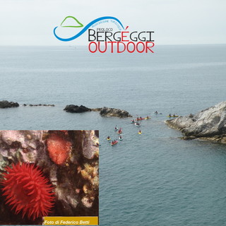 Escursione in canoa a Bergeggi